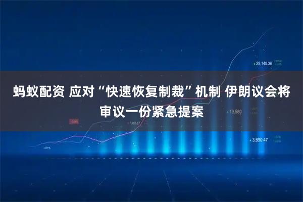 蚂蚁配资 应对“快速恢复制裁”机制 伊朗议会将审议一份紧急提案